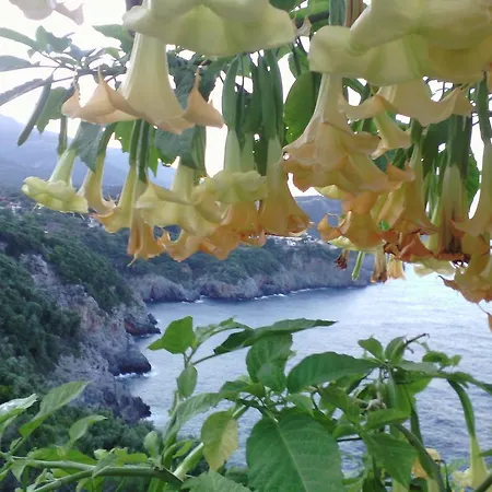 公寓 Kapetaniou Limniónas