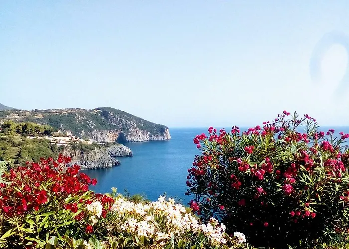 Kapetaniou * Limnionas (Central Greece)